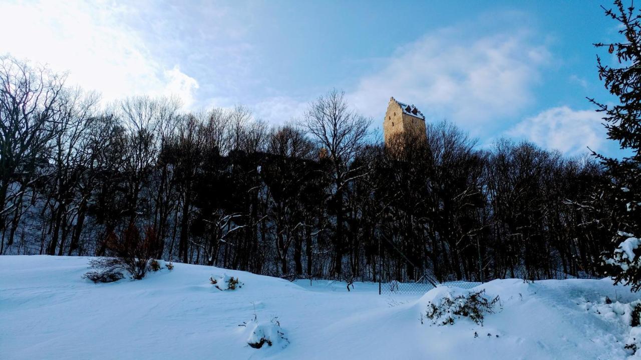 Pod Hradom Restaurant & Pension Topoľčany Dış mekan fotoğraf